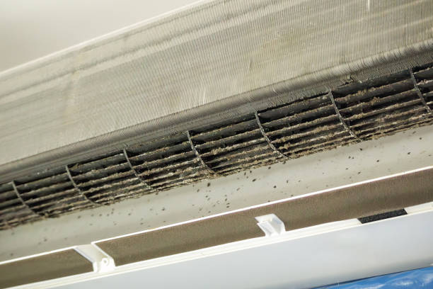 Best Affordable Air Duct Cleaning  in Holiday Shores, IL